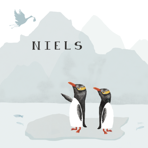 Stoer geboortekaartje met pinguins en ooievaar