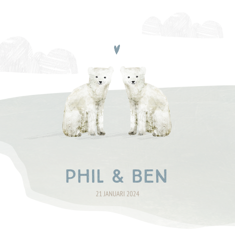 Geboortekaartje voor een tweeling met ijsbeertjes op een ijsschots