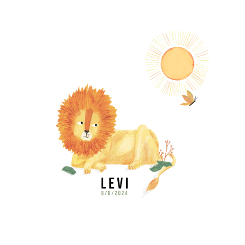 Lief geboortekaartje met een leeuw in de zon
