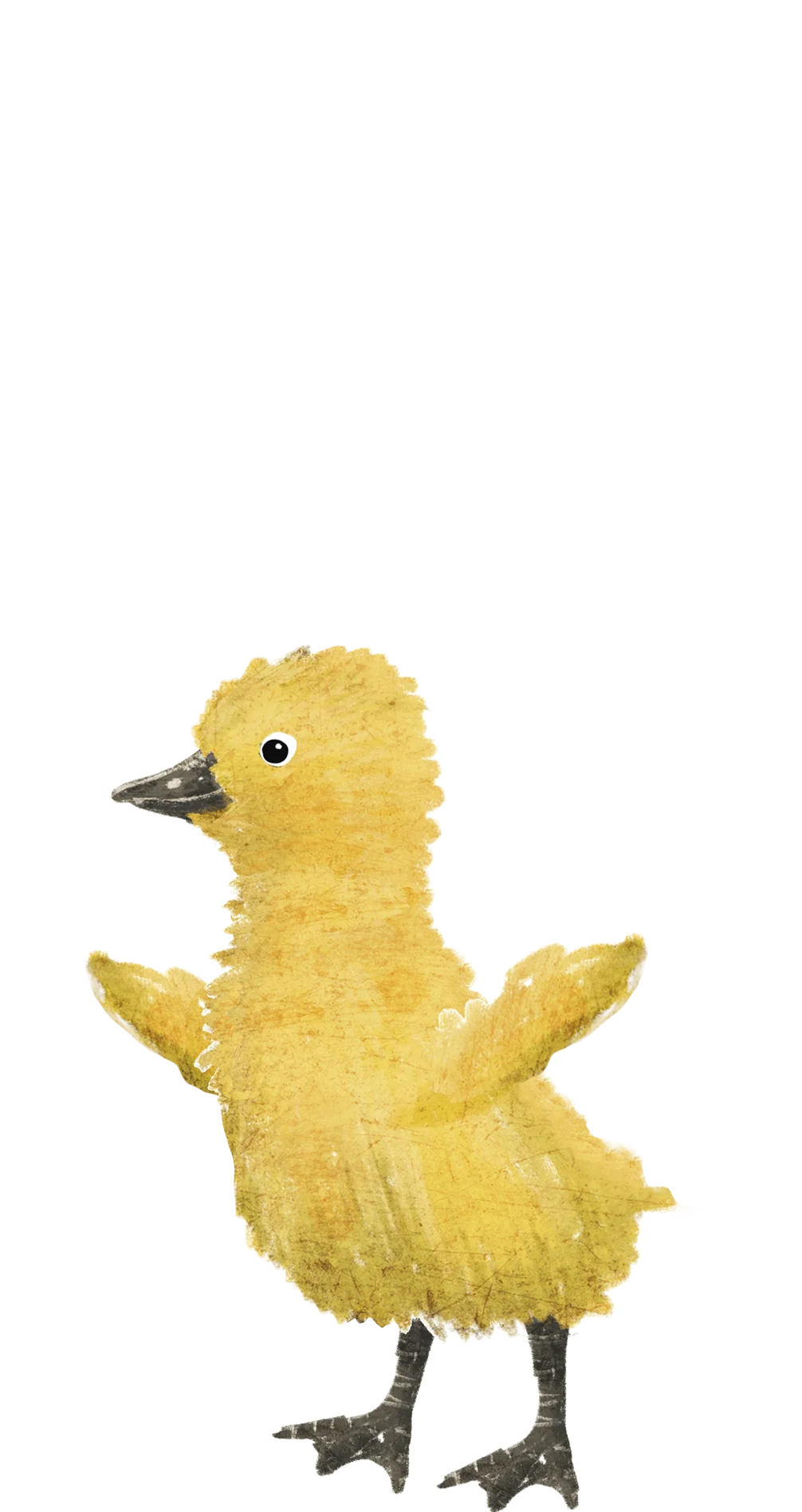 Minimalistisch geboortekaartje